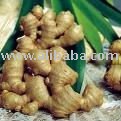 fresh  ginger , dried   ginger , dried   slice   ginger 