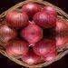 quality red onion available for sale