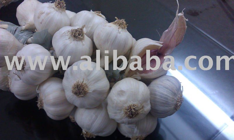 red garlic