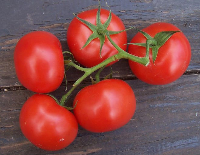 Fresh Tomatoes