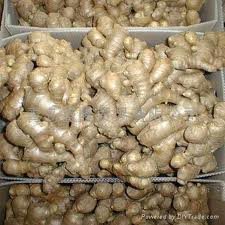 Fresh Vegetables  Fresh  Ginger 