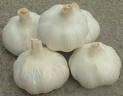 quality ginger and garlics available for sale