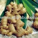  ginger ,fresh onion, dried  garlic, white  garlic,red pepper,turmeric