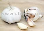 GARLIC, FRESH  GARLIC,WHITE GARLIC, MANGO ,ORANGES