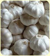 fresh white garlics and other  vegetables