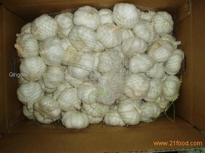  Garlic s