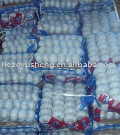 China fresh 10kg mesh bag pure white garlic