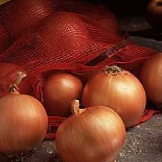 onion