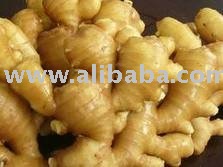  Natural   Fresh and dried Ginger for sale