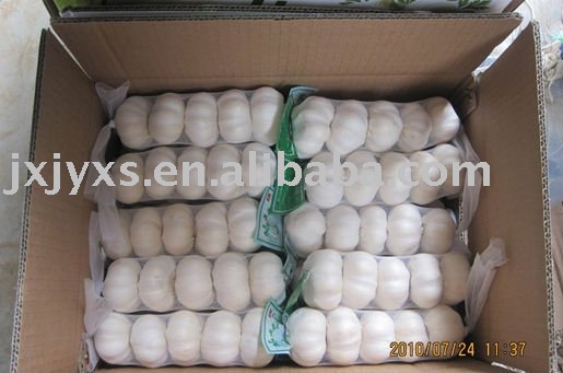 5pcs/Bag Pretty Snow  Garlic