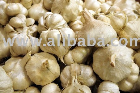 QUALITY  GARLIC  FROM  CAMEROON 
