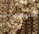  red  garlic, garlic seeds, garlic, ginger 