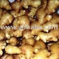 Dried ginger,ginger seed,fresh ginger,dried ginger