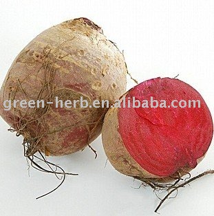 Beet Red(Beetroot red)