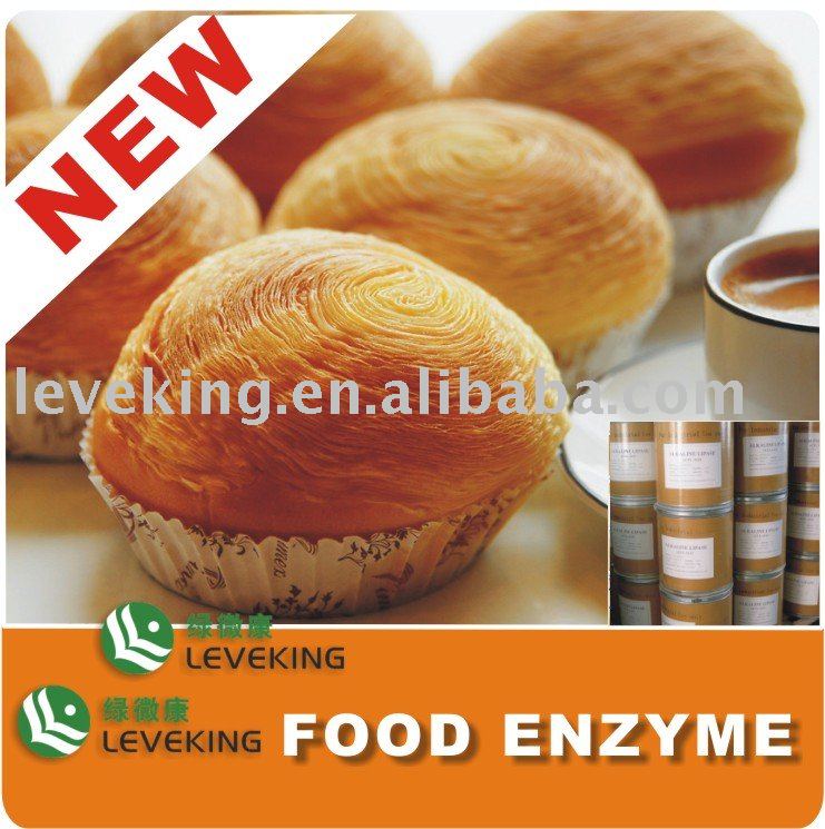Food Enzyme Xylanase