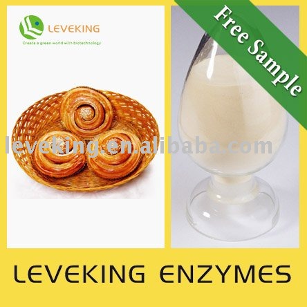  Enzyme  Preparation