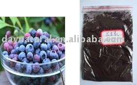 Bilberry P.E.--Anthocyanin