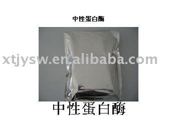 protease enzyme