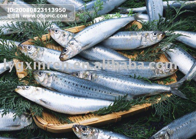 food additives for fish