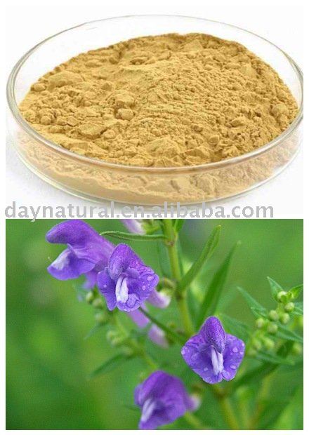 Baical Skullcap Root P.E--HPLC 80%-98%,10:1, 20:1