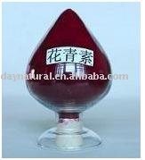 Blackcurrant Extract--Anthocyanin 25%