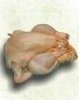 Chicken Body
