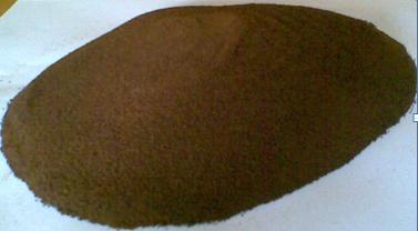 roasted coffee bean