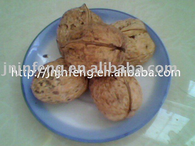 walnut