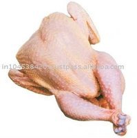 Frozen chicken