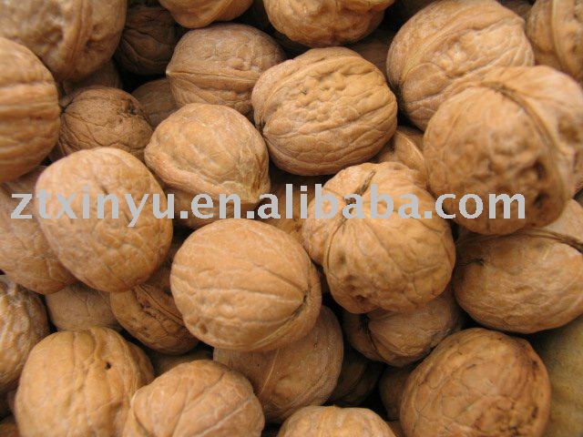 walnut