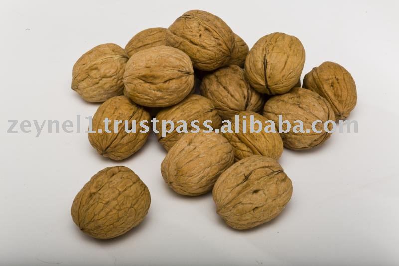 Inshell Walnut