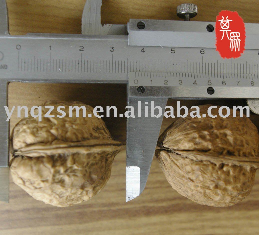 walnut with thin shell,103walnut,high quality walnut