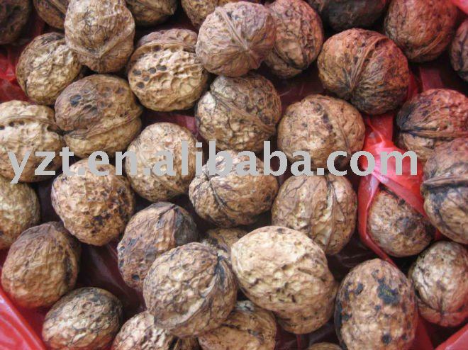 walnut in shell with competitive price
