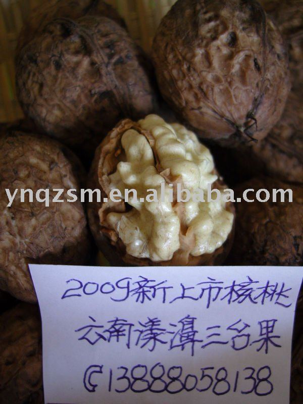  Organic  walnut ,walnut,yunnan walnut,nuts,walnut in  shell 