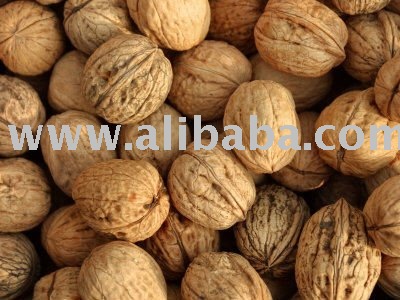 Walnuts  for sale