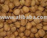 High grade and quality Walnuts for sell