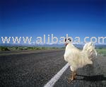  CHICKEN  NATURAL, CHICKEN   ORGANIC, CHICKEN  - ABF