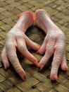  Unprocessed / processed   chicken  feet