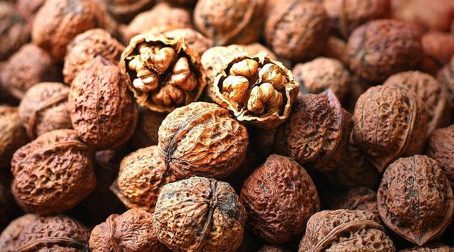 Walnut,Cameroon price supplier - 21food