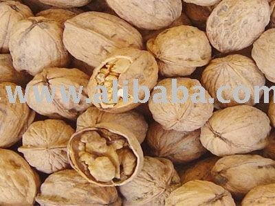 Walnut