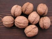 WALNUT FROM UKRAINE