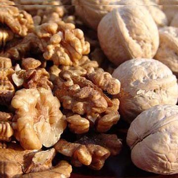 walnut kernels