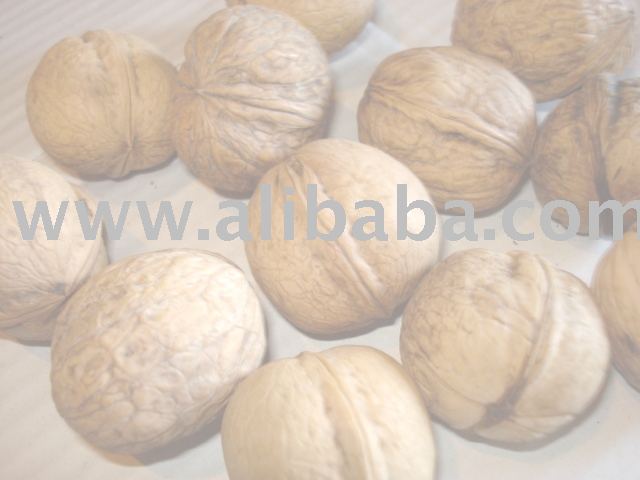 walnuts