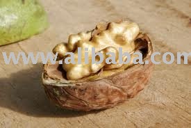 WALNUT