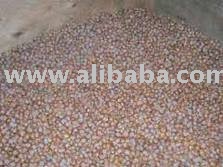 best Quality Walnuts for sale