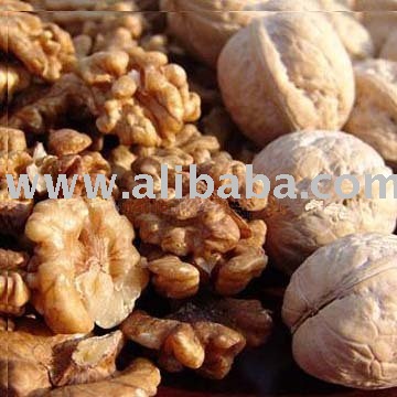walnut kernel