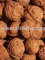  Walnut s  Halves 