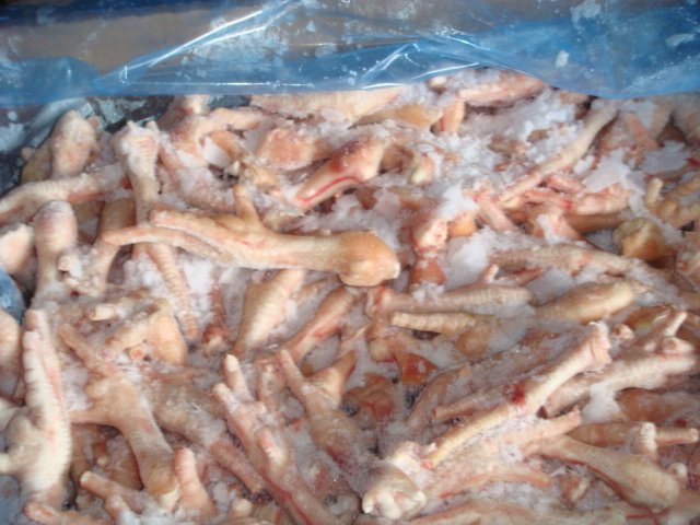 frozen chicken feet,Israel price supplier - 21food