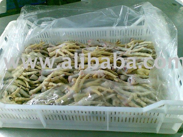 Chicken feet for supply worldwide.