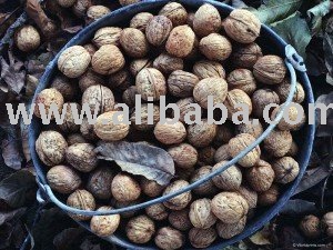 Walnuts